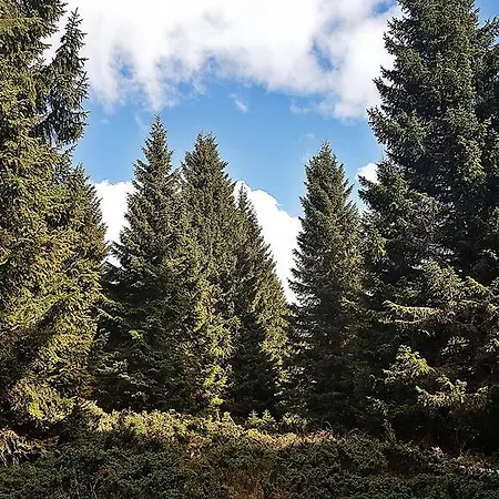 Appartement Kop Centar Aviator